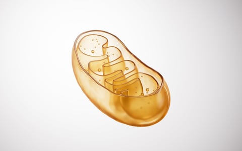 Golden glowing mitochondria 3D illustration